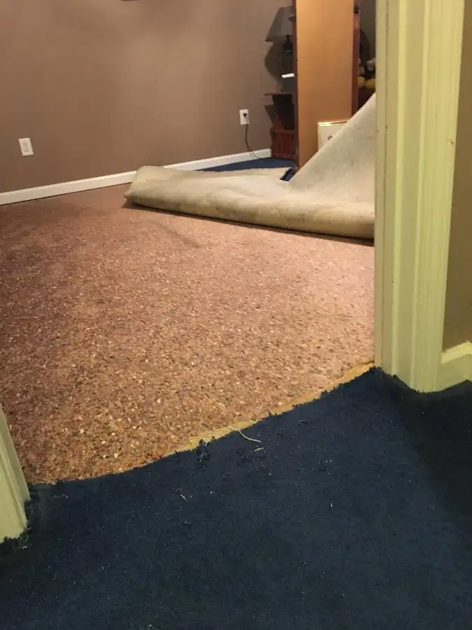 Carpet pad removal revealing water damage during Drying & Dehumidification in Lansdowne